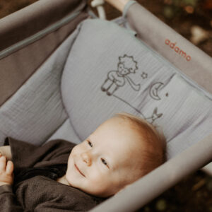 Schweiz_Richterswil_Kinderschaukel_Der kleine Prinz